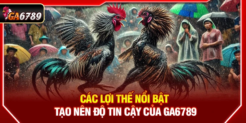 Ga6789 - Link Đá Gà 6789 Trực Tiếp Chính Thức Mới Nhất 06/2026 12 Các lợi thế nổi bật tạo nên độ tin cậy của Ga6789