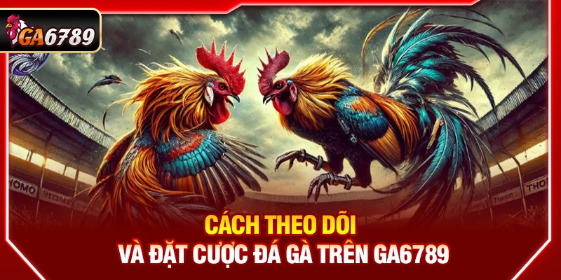 Ga6789 - Link Đá Gà 6789 Trực Tiếp Chính Thức Mới Nhất 06/2026 16 Cách theo dõi và đặt cược đá gà trên Ga6789