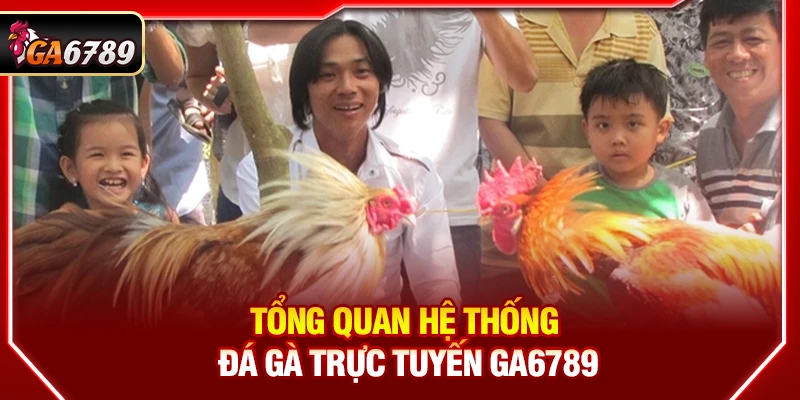 Ga6789 - Link Đá Gà 6789 Trực Tiếp Chính Thức Mới Nhất 06/2026 11 Tổng quan hệ thống đá gà trực tuyến Ga6789