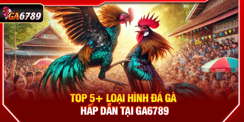 Ga6789 - Link Đá Gà 6789 Trực Tiếp Chính Thức Mới Nhất 06/2026 13 Top 5+ loại hình đá gà hấp dẫn tại Ga6789